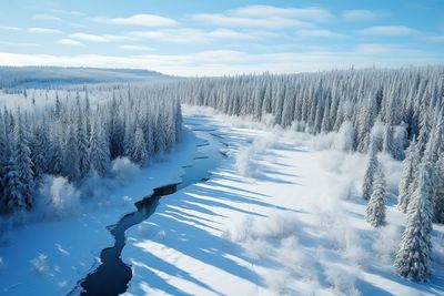 Scenic view of snow covered landscape