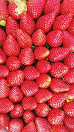 Detail shot of strawberries