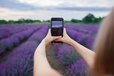 Close-up of screen of smartphone in hands. girl enjoys lavender field and makes photo. summer travel