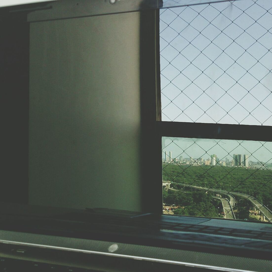 window, architecture, built structure, glass - material, building exterior, transparent, indoors, tree, day, no people, glass, city, closed, protection, green color, metal, safety, fence, growth, building