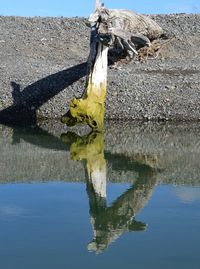 Close-up of reflection in water