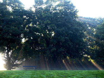 Trees on landscape against sky