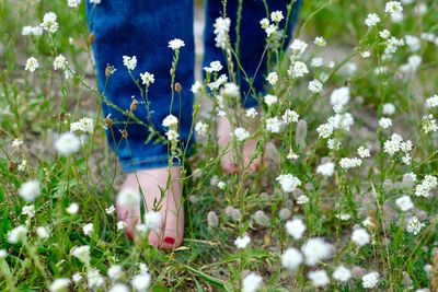 Low section of woman by flowering plants on field