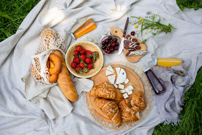 Picnic in the field with berries, juice, cheese, sausage and sweet croissants