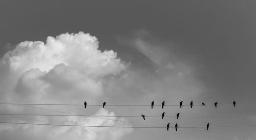 Low angle view of silhouette birds on cable against sky