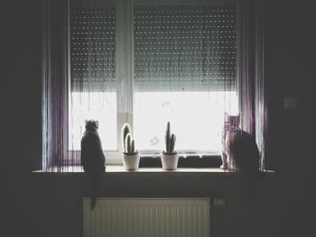 Rear view of people looking through window at home