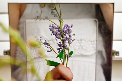 Close-up of hand holding purple flowering plant in a mirror 