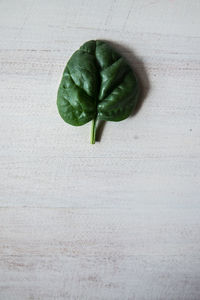 Directly above shot of spinach on wooden table