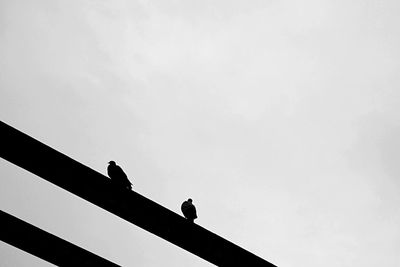 Low angle view of silhouette man perching on wall against sky