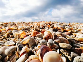 Close-up of stones on beach against sky