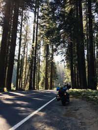 Motorcycle parked by road in forest