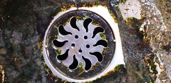 High angle view of metal hole on tree trunk