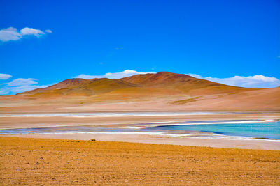 Scenic view of beach against blue sky