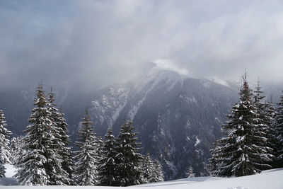 Scenic view of snow covered mountains against sky