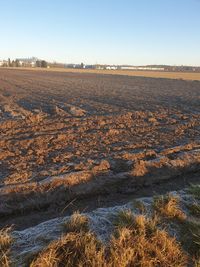 Scenic view of field against clear sky