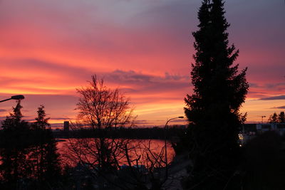 Silhouette of trees during sunset