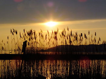 Scenic view of sunset over river