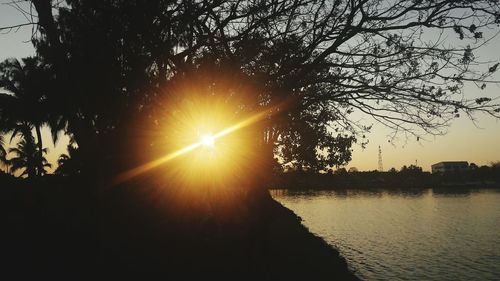 Scenic view of tree against sky during sunset