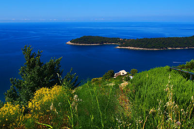 Korcula island by adriatic sea