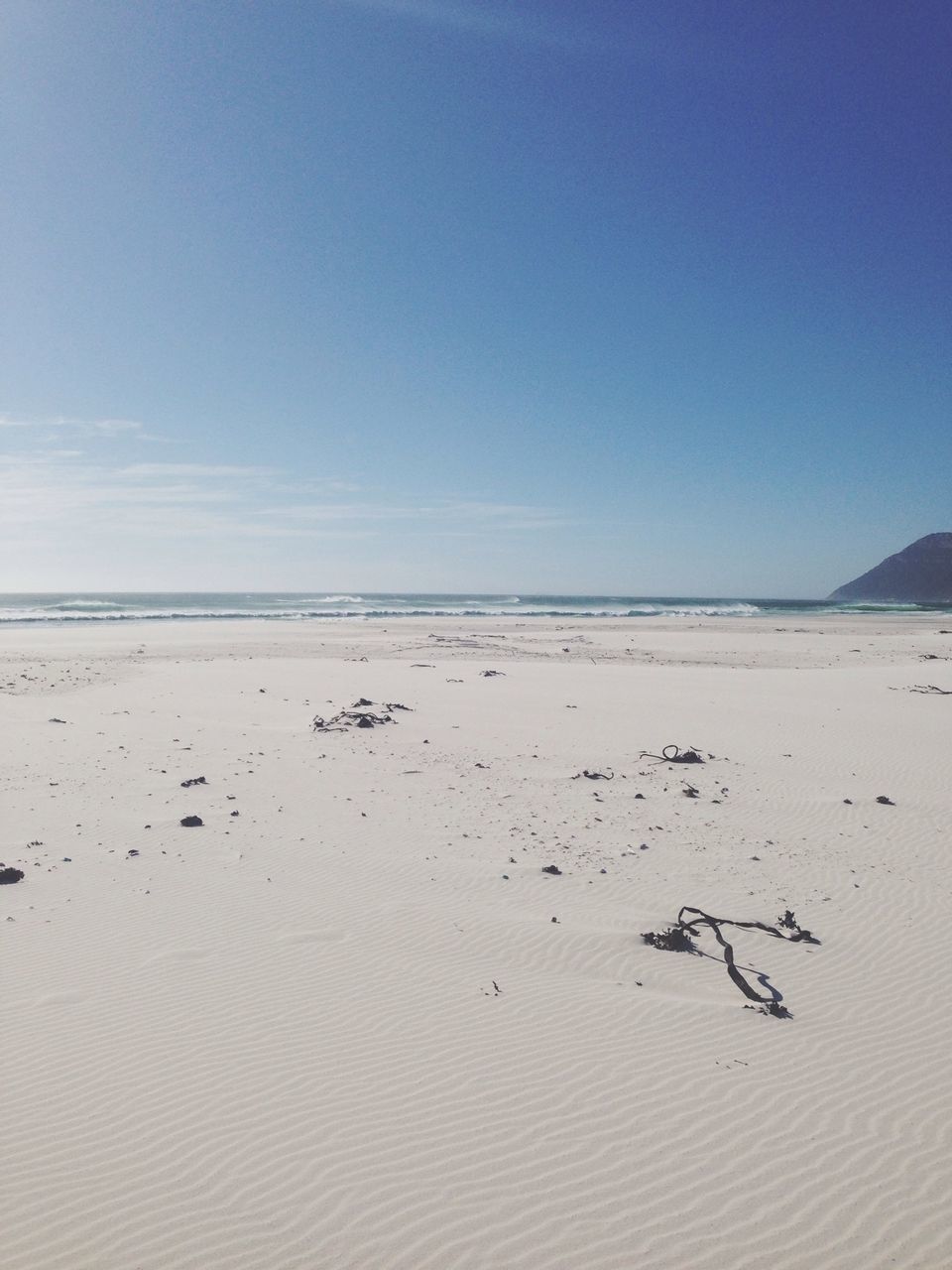 bird, beach, sand, water, tranquil scene, sea, animal themes, tranquility, scenics, animals in the wild, beauty in nature, nature, wildlife, sky, shore, blue, copy space, clear sky, horizon over water