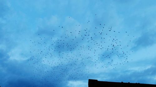 Low angle view of birds flying in sky