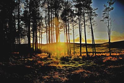 Scenic view of landscape against sky at sunset