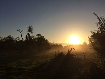 Silhouette trees on field against sky at sunset