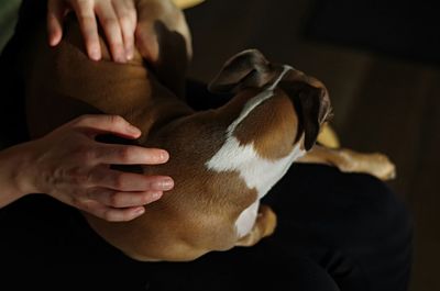 Close-up of man holding dog