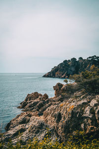 Scenic view of sea against clear sky