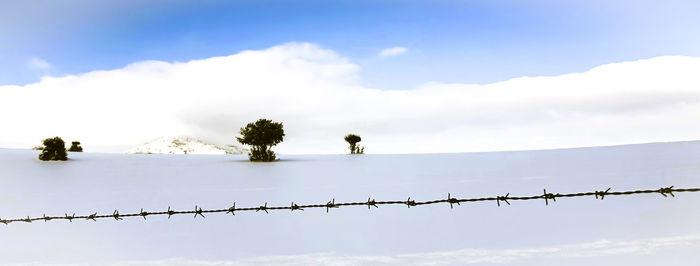 Low angle view of barbed wire against sky