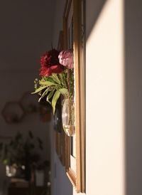 Close-up of christmas tree