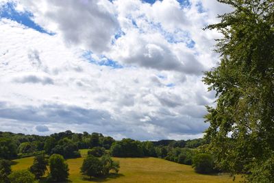 Trees on field against sky