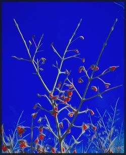 Low angle view of plants against blue sky