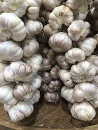 garlic