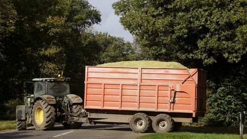 Tractor against trees