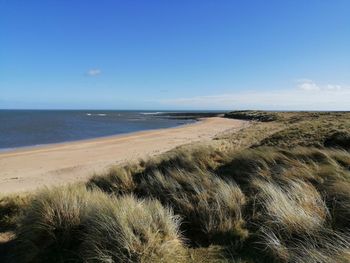 Scenic view of beach against blue sky