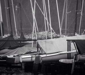 Sailboats moored at harbor