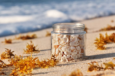 Seashells in jar on sand at beach