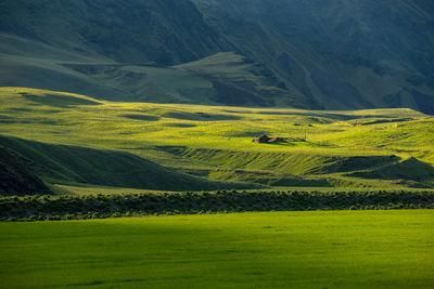 Wonderful icelandic landscape, nature grassland in the highland mountains in late afternoon lights
