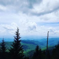 Trees on mountain against sky