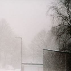 Snow covered trees against sky during foggy weather