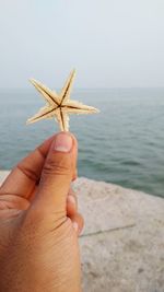 Close-up of person hand holding sea