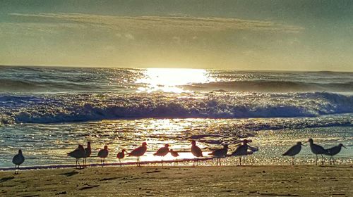 Scenic view of sea at sunset