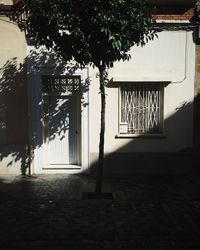 Closed door of building