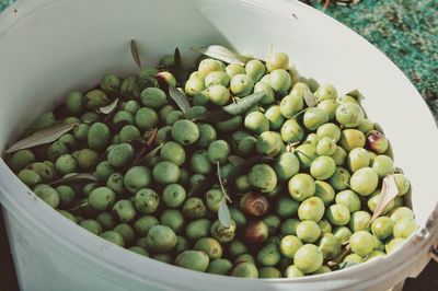 High angle view of fruits in container