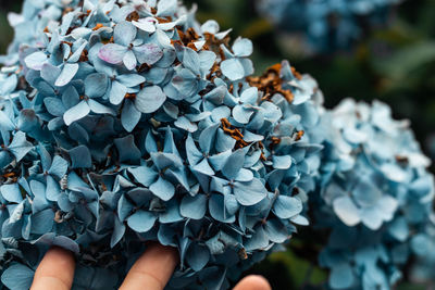 Cropped hand of person touching plant growing in park