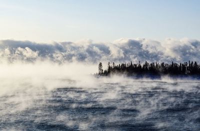 Fog rolling across water with pine trees in the distance ethereal scene