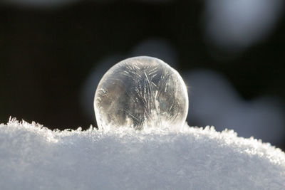 Close-up of ice