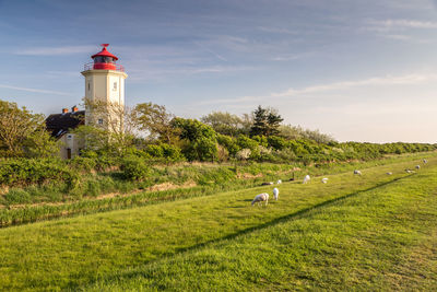 Lighthouse on field against sky