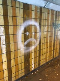 Close-up of yellow flowers